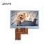 New 4.3 inch With touch MP5 GPS TFT LCD Inside Display Screen KD43G18-40NB-A1 KD43G18-40NB-A5 C430P T43P12